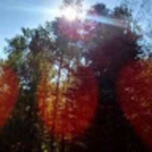 Meet your Posher, Attilio